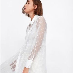 ZARA Sheer Dot Maxi Dress